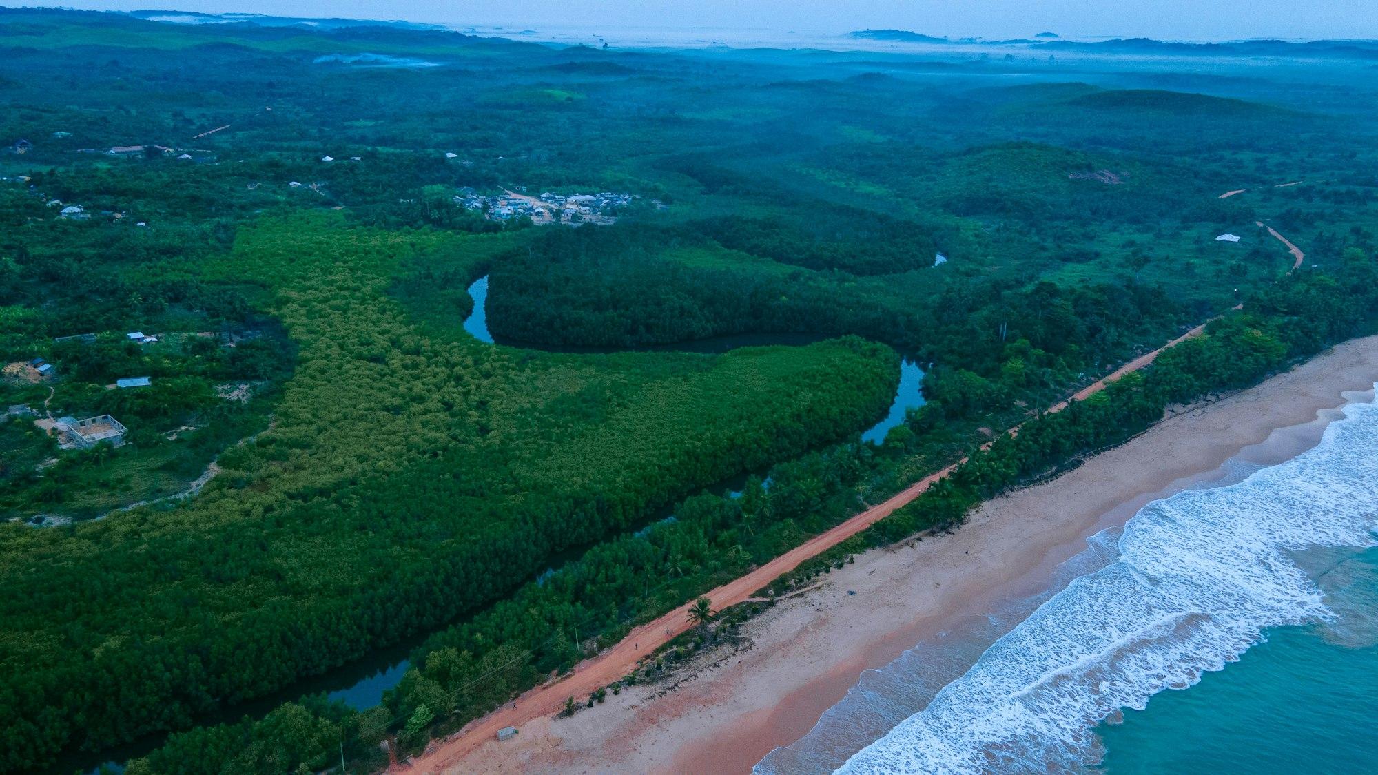 Aerial view of rainforest meeting the sea along a quiet coast