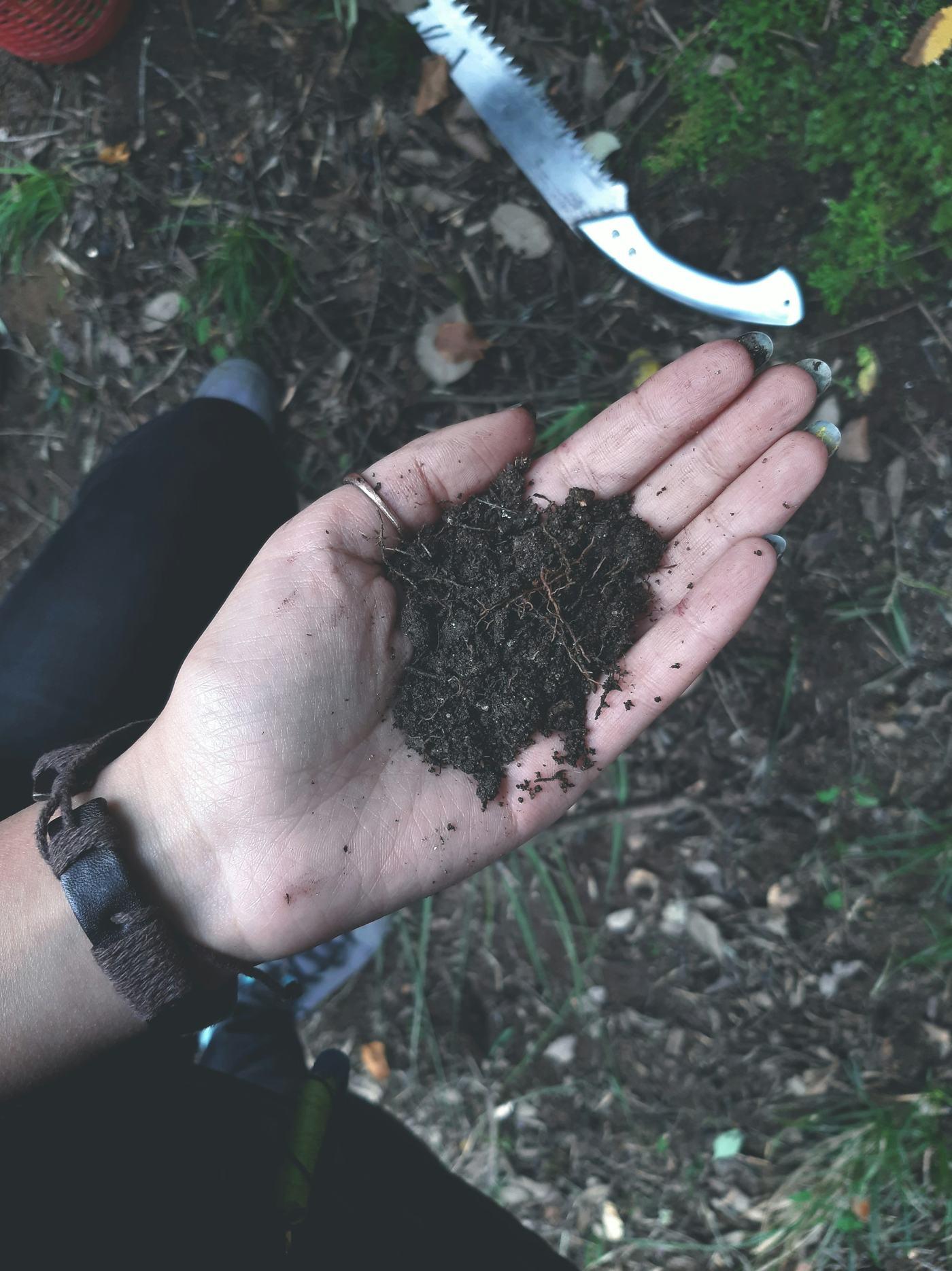 An open hand holding a pile of dark, crumbly soil